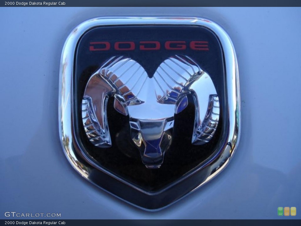 2000 Dodge Dakota Custom Badge and Logo Photo #41554946
