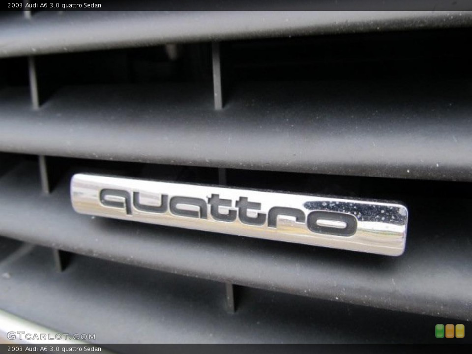 2003 Audi A6 Custom Badge and Logo Photo #41880938