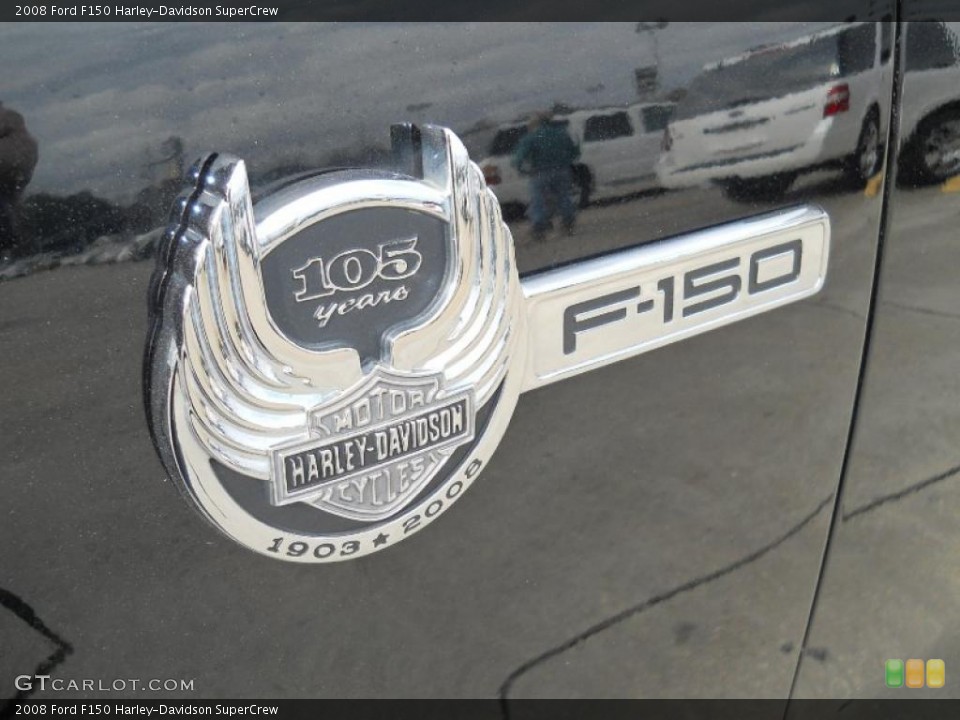 2008 Ford F150 Custom Badge and Logo Photo #42368257