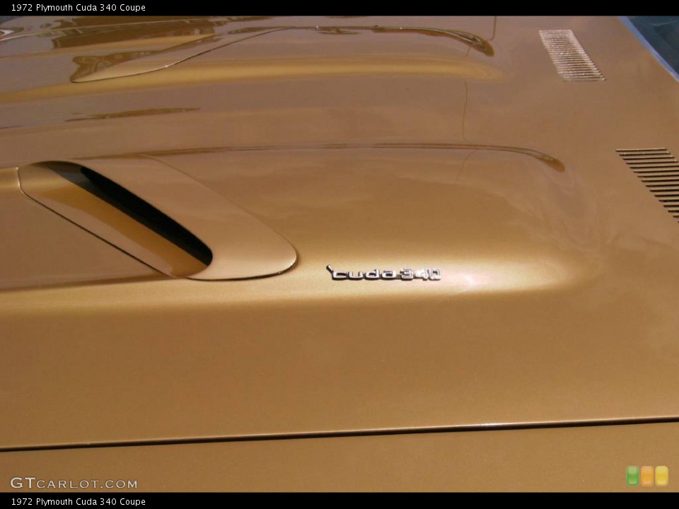 1972 Plymouth Cuda Custom Badge and Logo Photo #426744