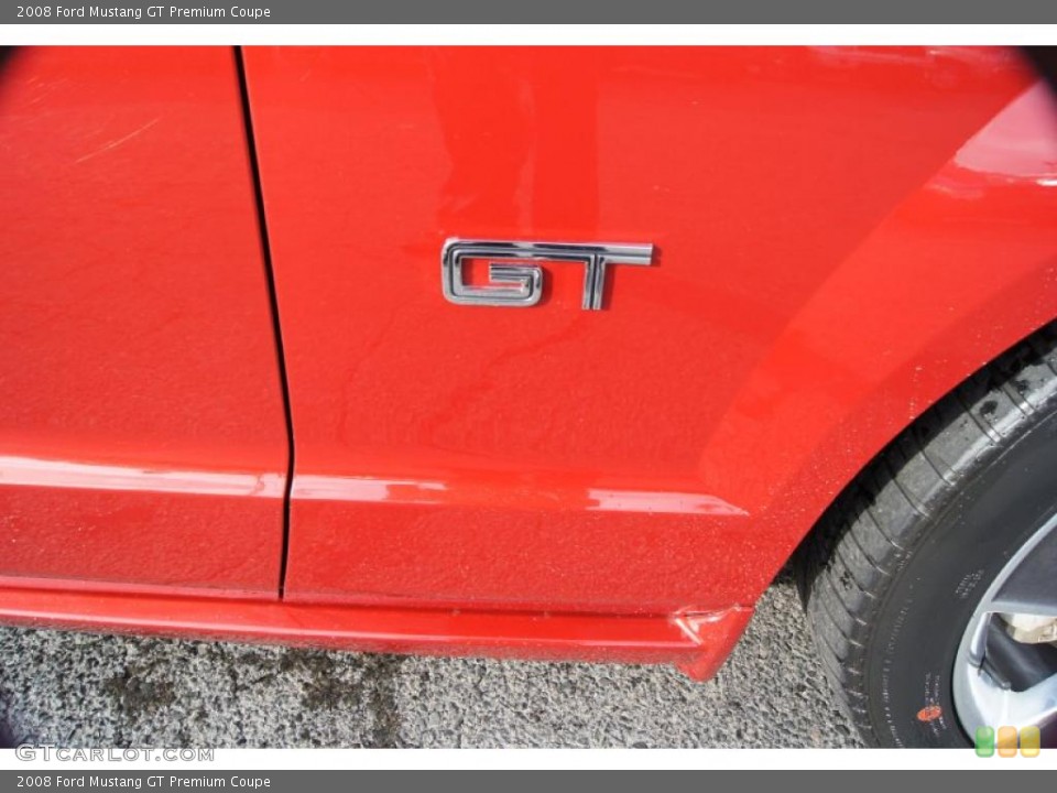 2008 Ford Mustang Custom Badge and Logo Photo #42707948