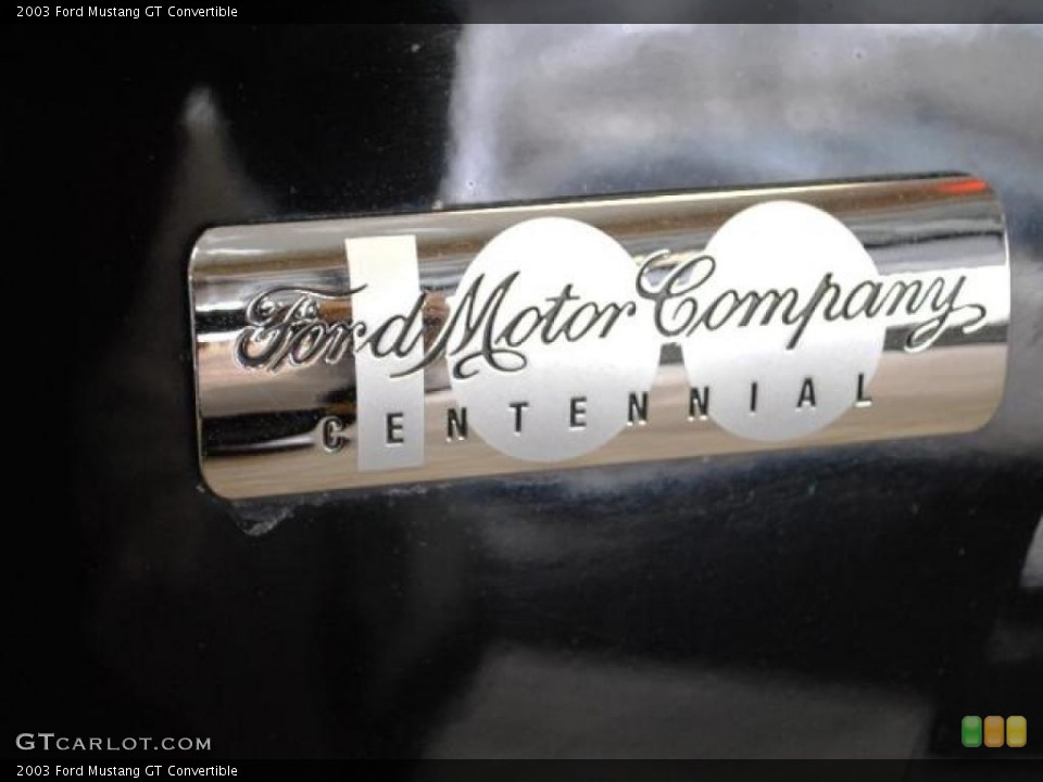 2003 Ford Mustang Custom Badge and Logo Photo #43095652