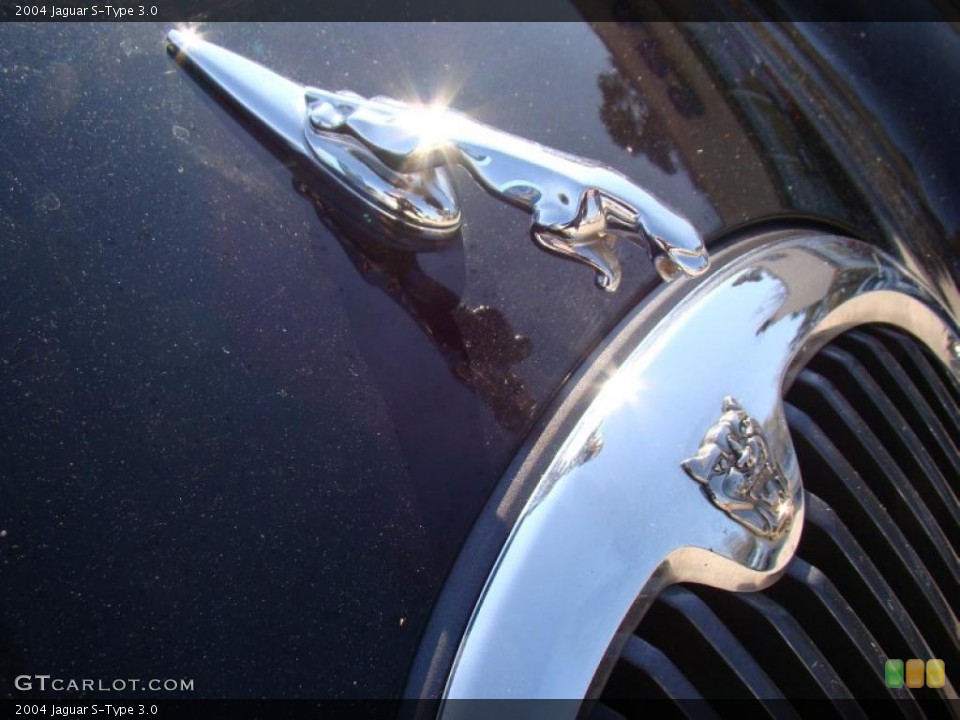 2004 Jaguar S-Type Custom Badge and Logo Photo #43154753