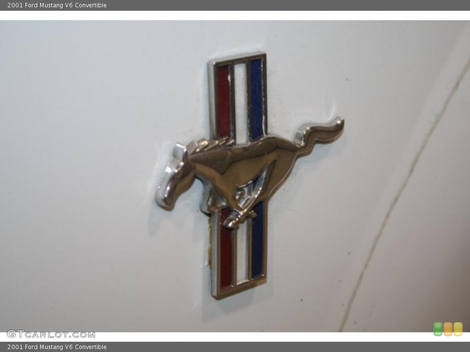 2001 Ford Mustang Custom Badge and Logo Photo #43229723