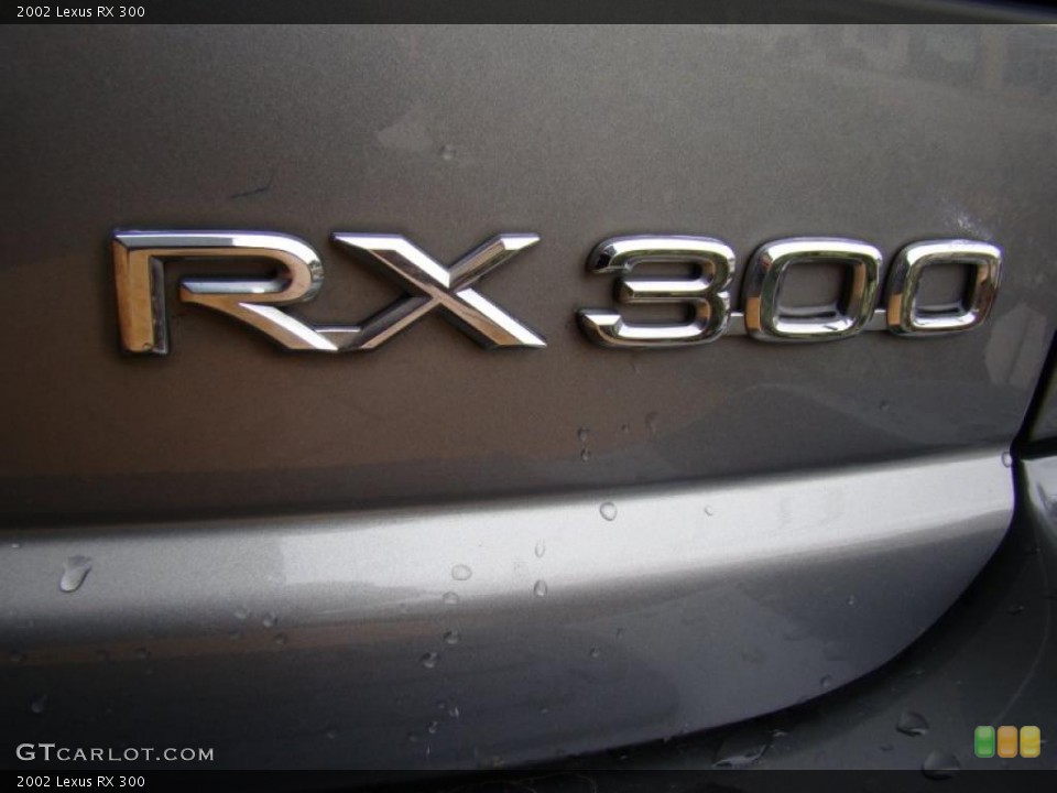 2002 Lexus RX Custom Badge and Logo Photo #43322899