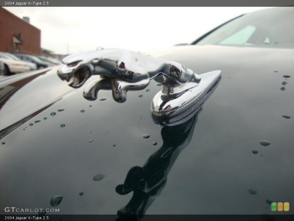 2004 Jaguar X-Type Custom Badge and Logo Photo #43368320