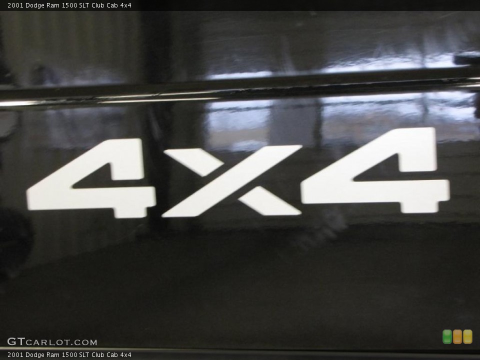 2001 Dodge Ram 1500 Custom Badge and Logo Photo #43627268