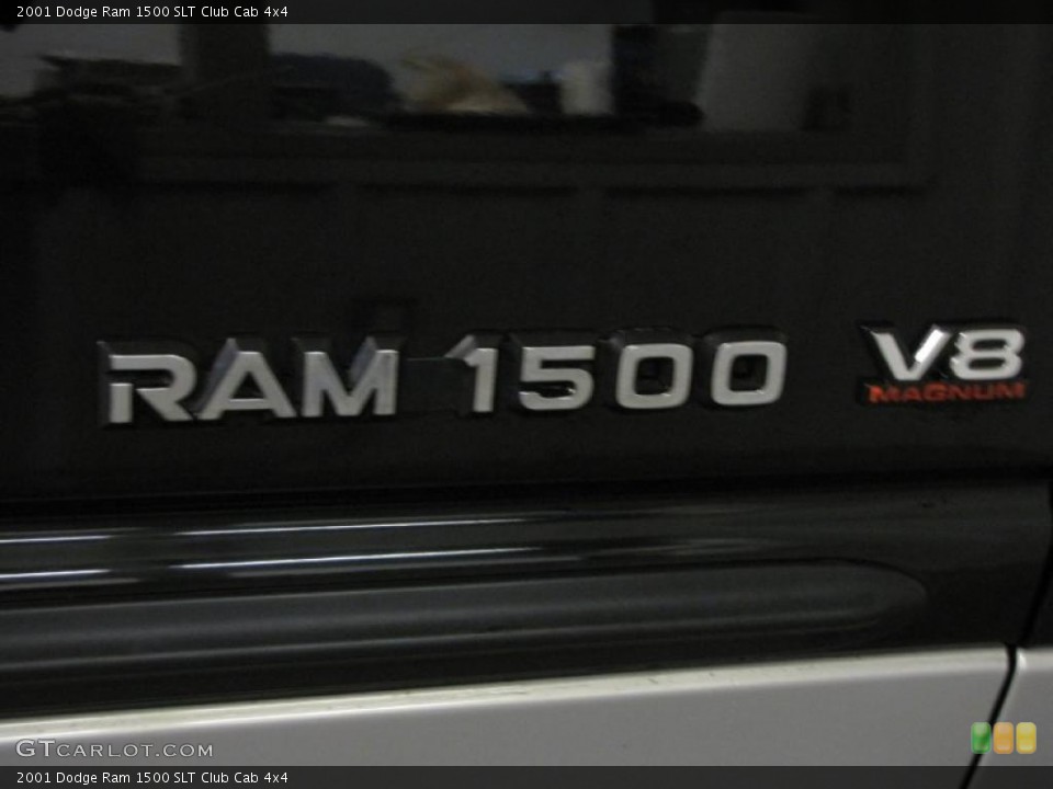 2001 Dodge Ram 1500 Custom Badge and Logo Photo #43627280