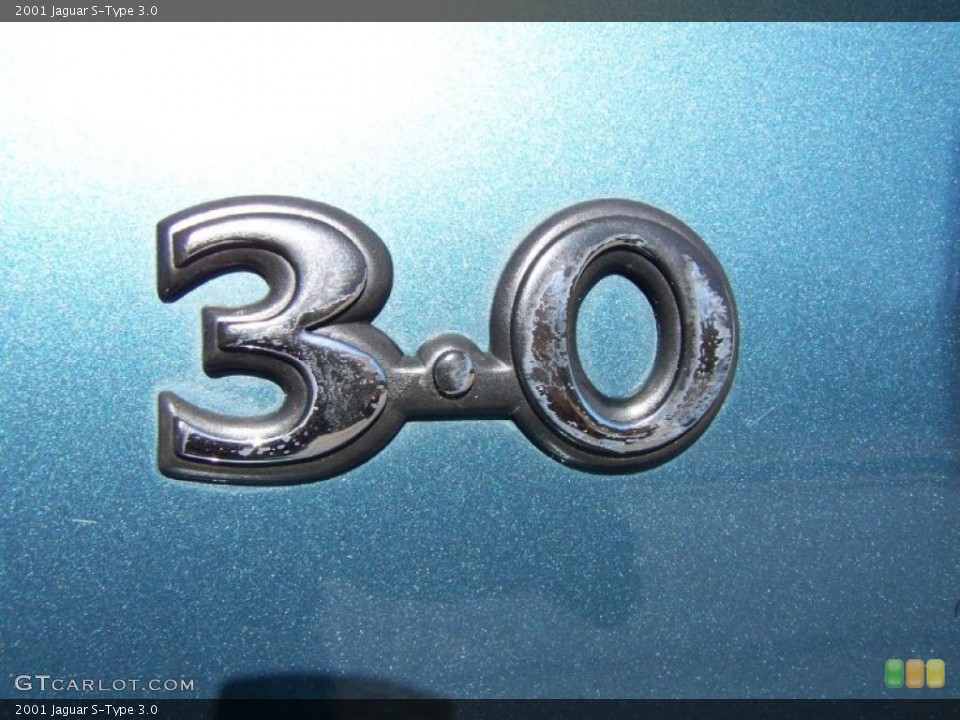 2001 Jaguar S-Type Custom Badge and Logo Photo #43690140