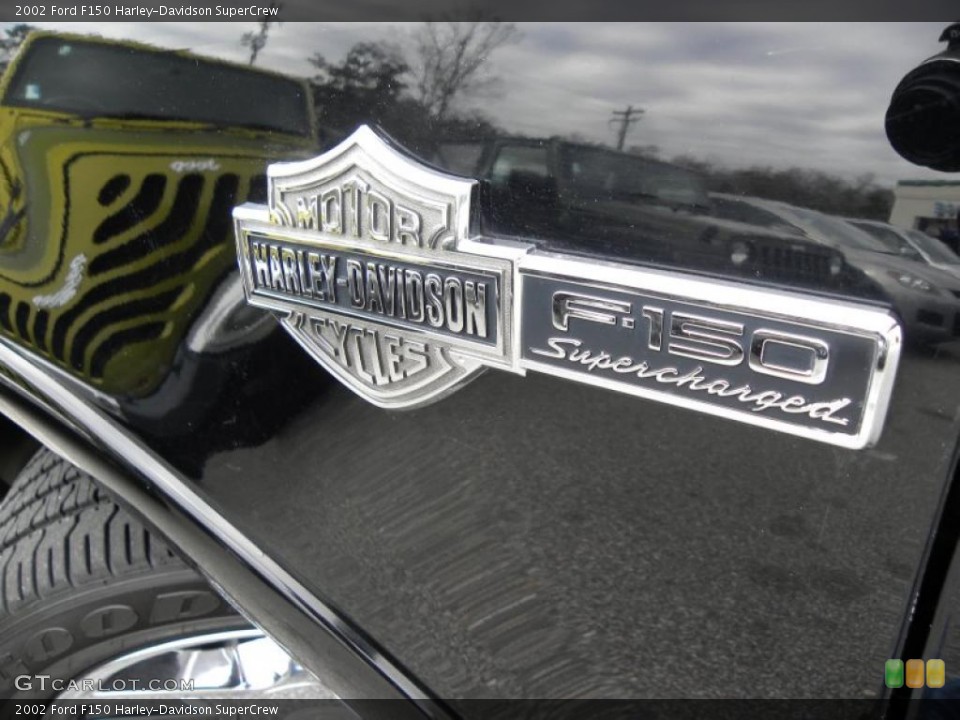 2002 Ford F150 Custom Badge and Logo Photo #45224097