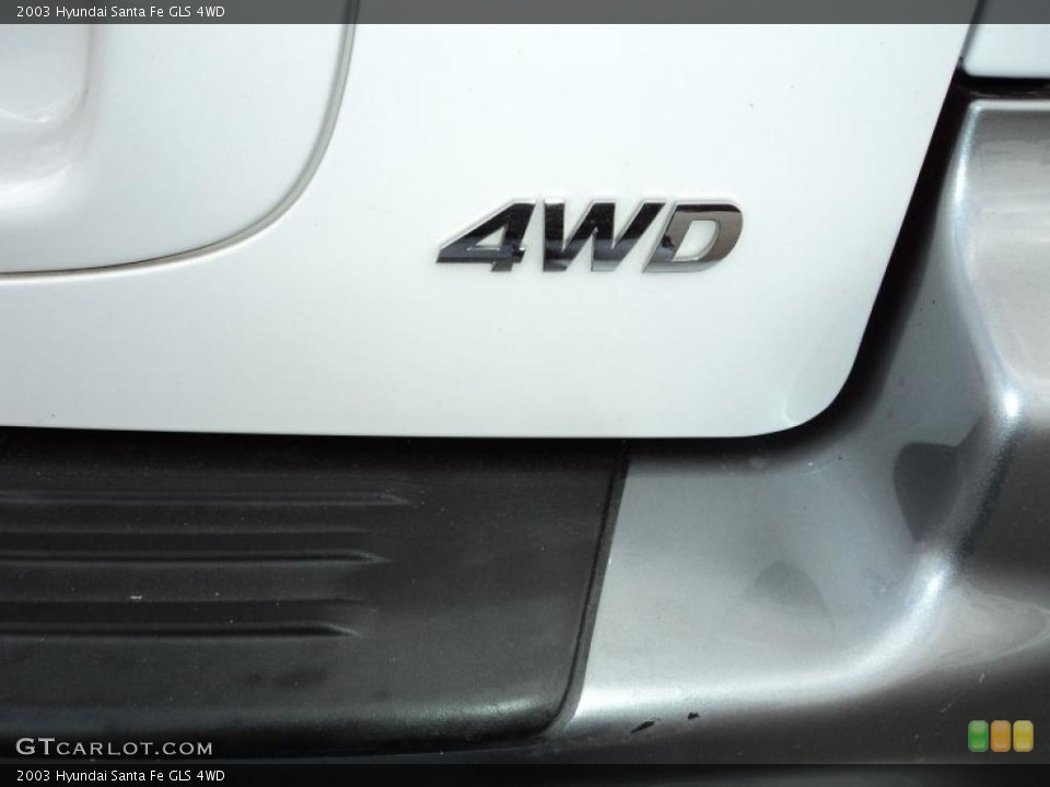 2003 Hyundai Santa Fe Custom Badge and Logo Photo #45295445