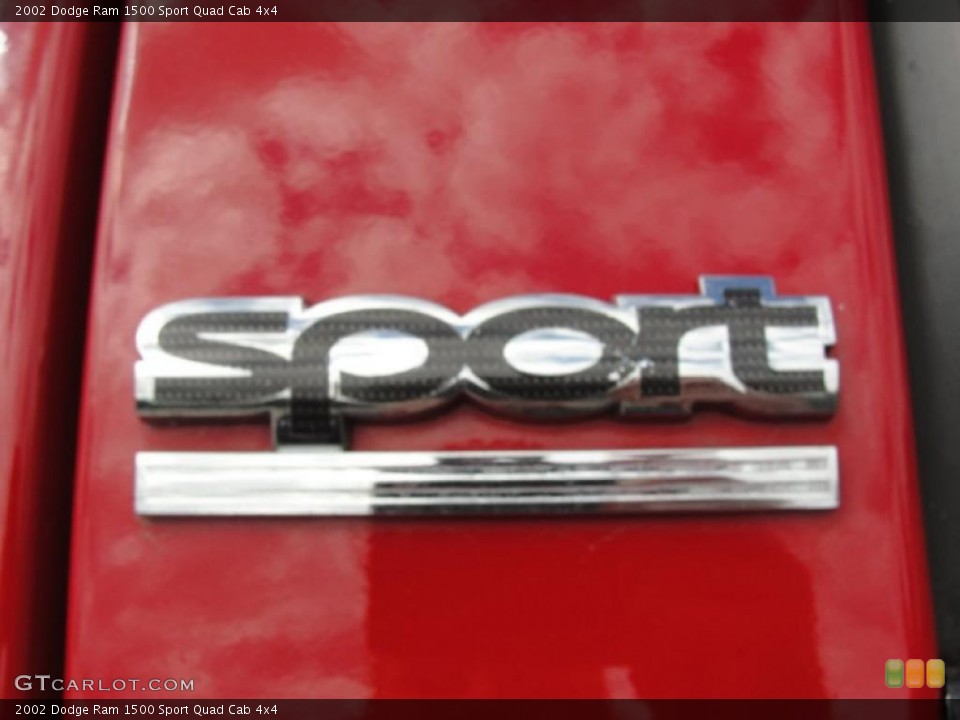 2002 Dodge Ram 1500 Custom Badge and Logo Photo #45373609