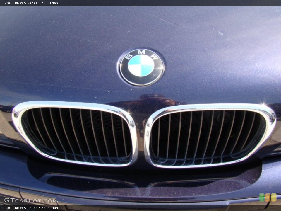 2001 BMW 5 Series Custom Badge and Logo Photo #45383178