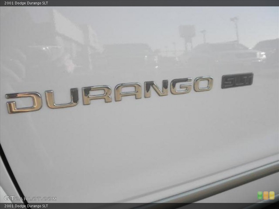 2001 Dodge Durango Custom Badge and Logo Photo #45483612