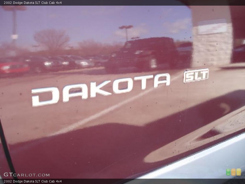 2002 Dodge Dakota Custom Badge and Logo Photo #46017598
