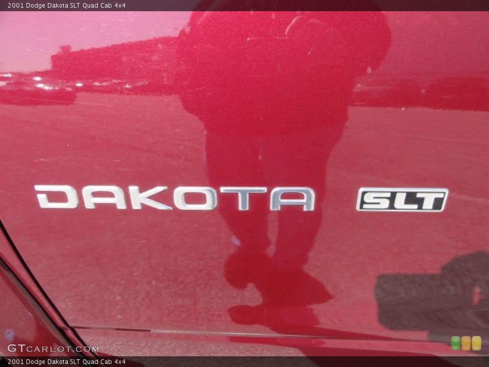 2001 Dodge Dakota Custom Badge and Logo Photo #46155897