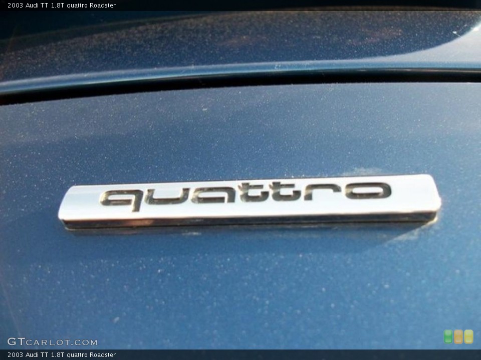 2003 Audi TT Custom Badge and Logo Photo #46312916