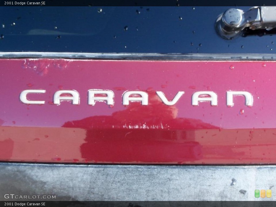 2001 Dodge Caravan Custom Badge and Logo Photo #46389550