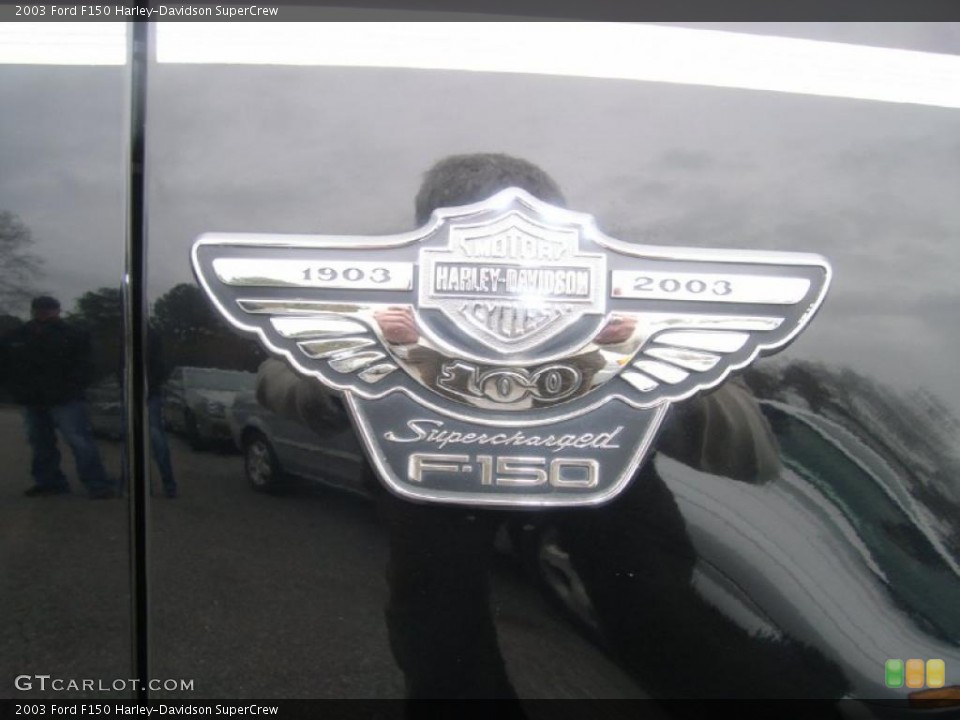 2003 Ford F150 Custom Badge and Logo Photo #46460238
