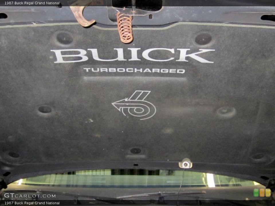 1987 Buick Regal Custom Badge and Logo Photo #46742209