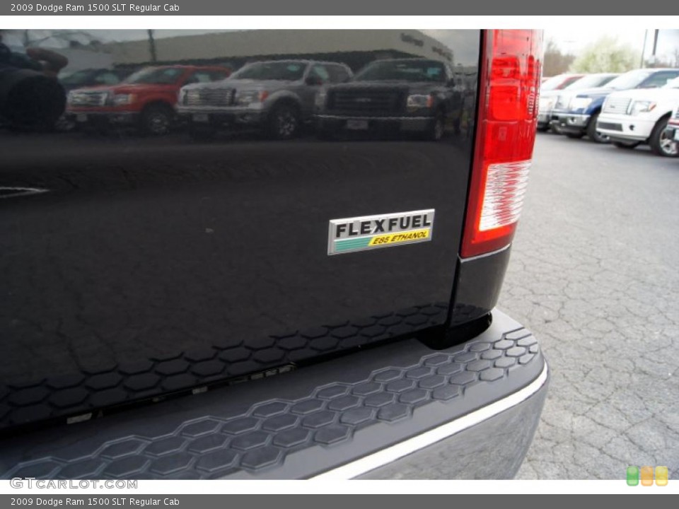 2009 Dodge Ram 1500 Custom Badge and Logo Photo #46833534