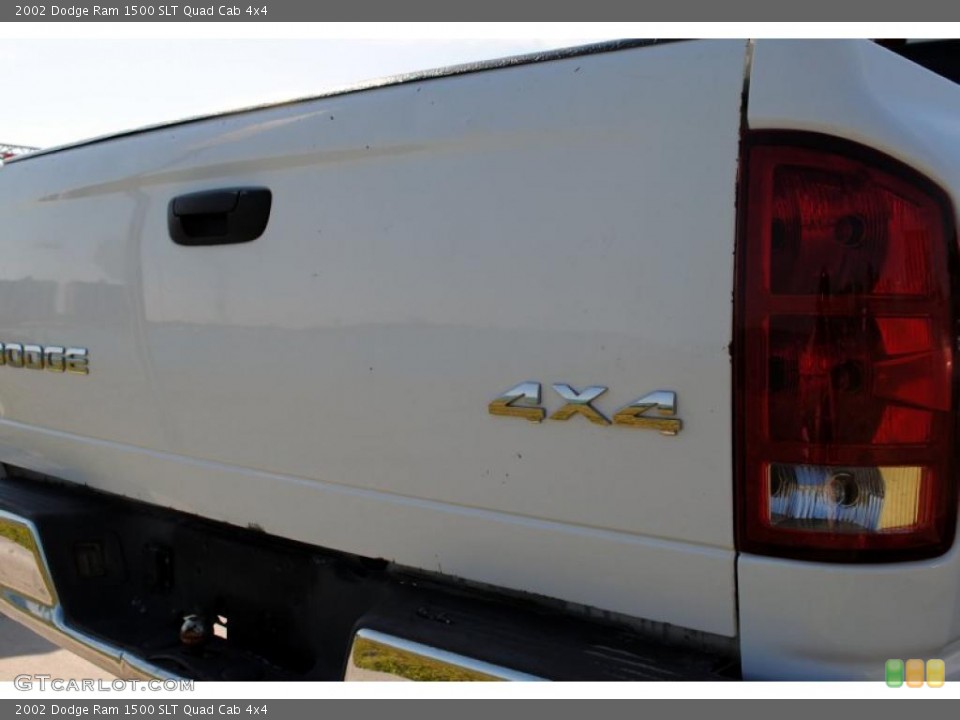 2002 Dodge Ram 1500 Custom Badge and Logo Photo #46951635