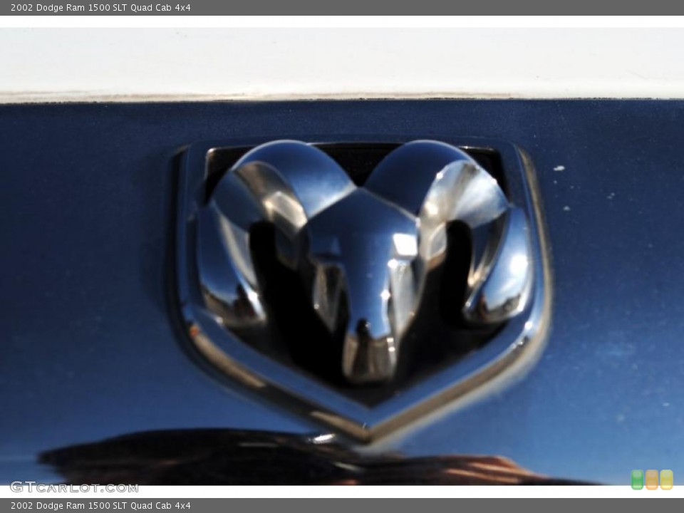 2002 Dodge Ram 1500 Custom Badge and Logo Photo #46951704