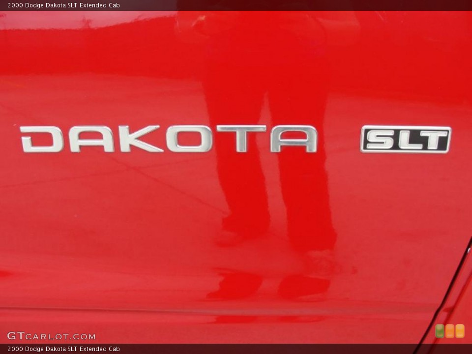 2000 Dodge Dakota Custom Badge and Logo Photo #46991850