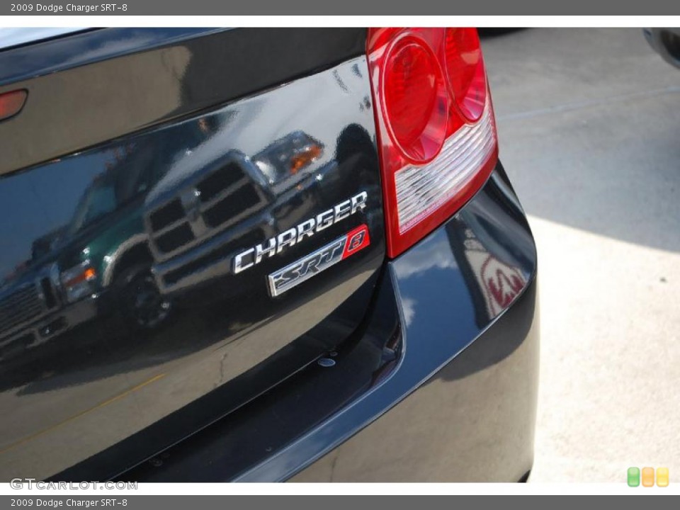 2009 Dodge Charger Custom Badge and Logo Photo #47043342