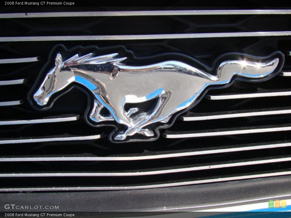 2008 Ford Mustang Custom Badge and Logo Photo #47045877