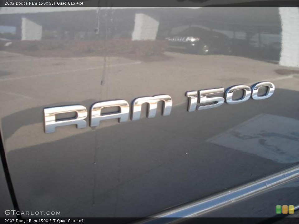 2003 Dodge Ram 1500 Custom Badge and Logo Photo #47362538