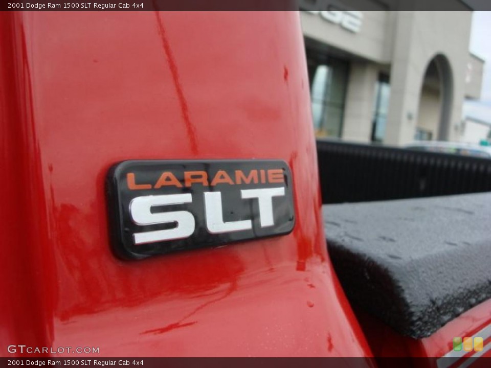 2001 Dodge Ram 1500 Custom Badge and Logo Photo #47452969