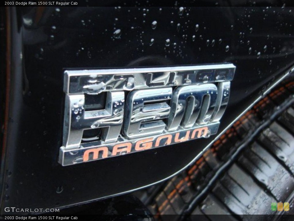 2003 Dodge Ram 1500 Custom Badge and Logo Photo #47517163