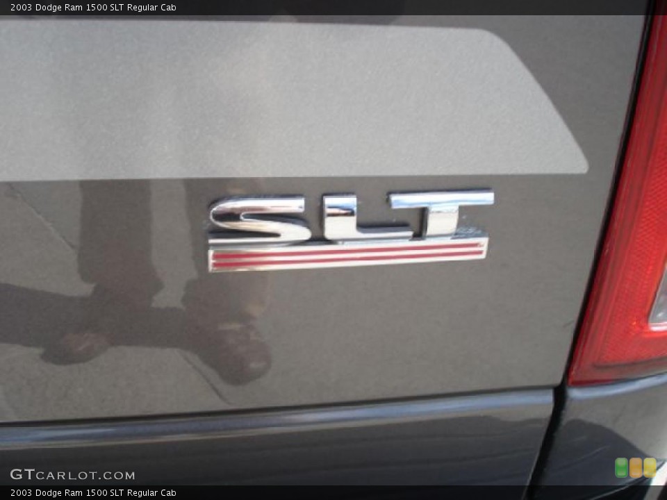 2003 Dodge Ram 1500 Custom Badge and Logo Photo #47651653