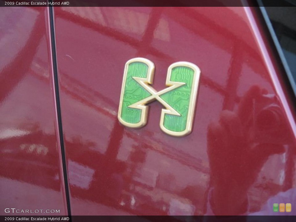 2009 Cadillac Escalade Custom Badge and Logo Photo #47876639