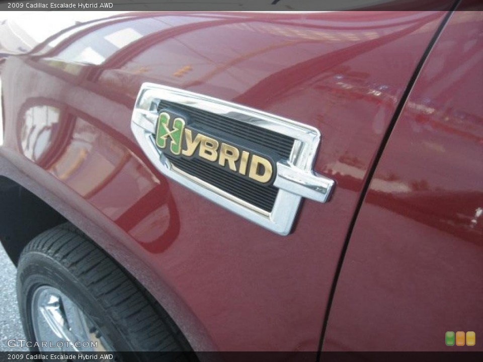 2009 Cadillac Escalade Custom Badge and Logo Photo #47876675