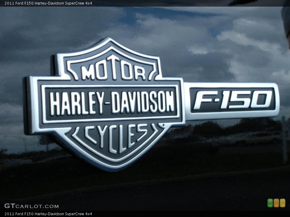 2011 Ford F150 Custom Badge and Logo Photo #47939220