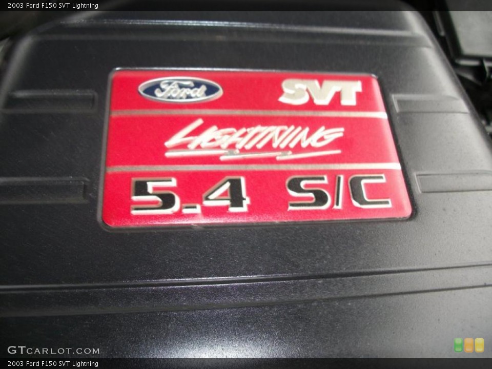 2003 Ford F150 Custom Badge and Logo Photo #48178898