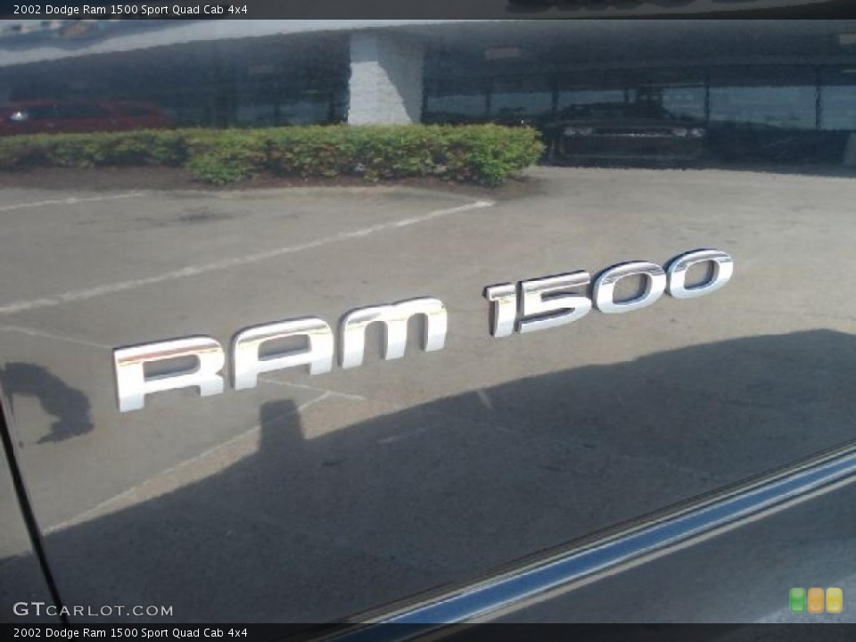 2002 Dodge Ram 1500 Custom Badge and Logo Photo #48514849
