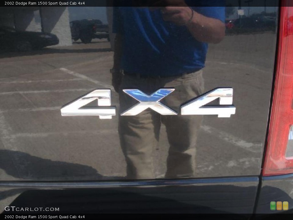 2002 Dodge Ram 1500 Custom Badge and Logo Photo #48514876