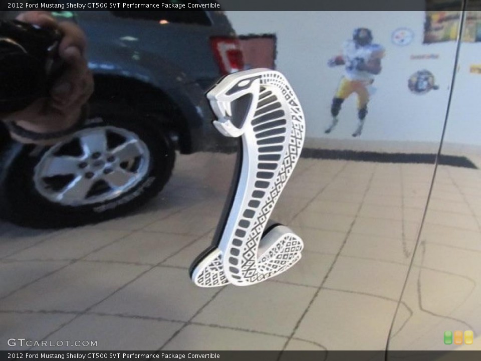 2012 Ford Mustang Custom Badge and Logo Photo #48547361