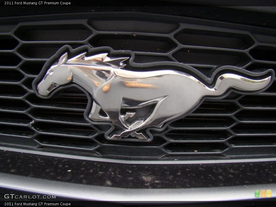 2011 Ford Mustang Custom Badge and Logo Photo #48557573