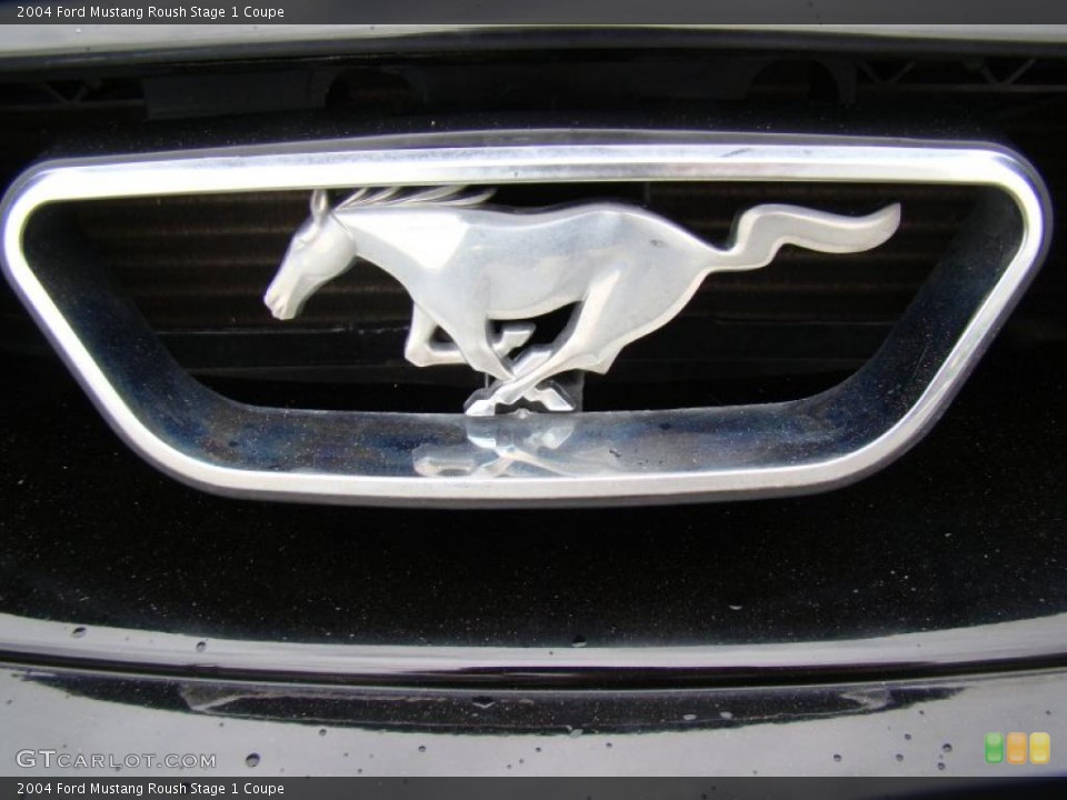 2004 Ford Mustang Custom Badge and Logo Photo #48624090