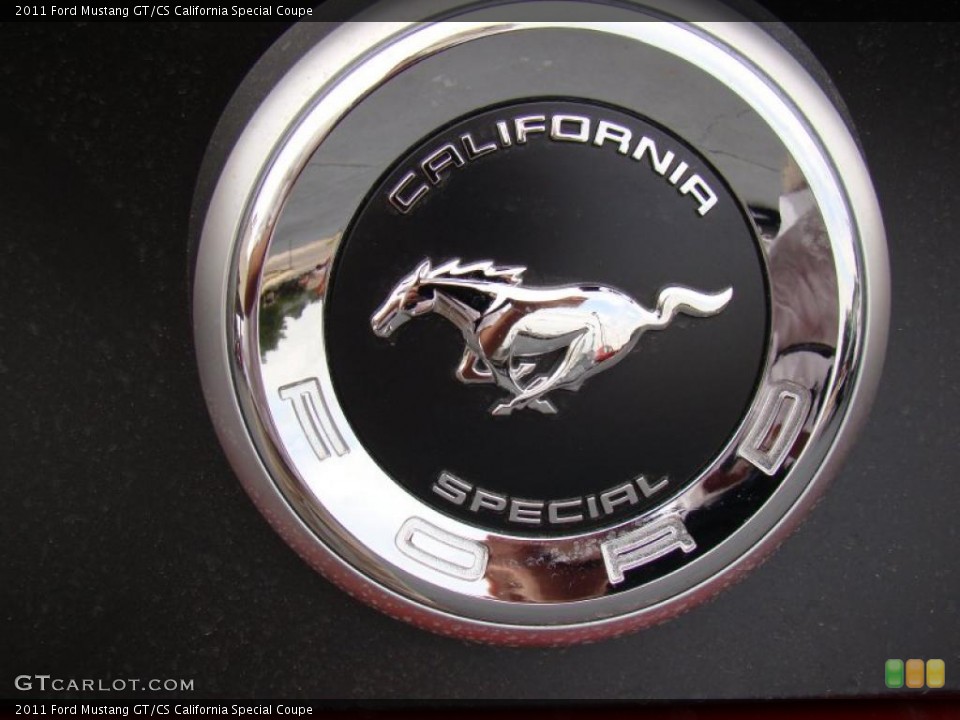 2011 Ford Mustang Custom Badge and Logo Photo #48627796