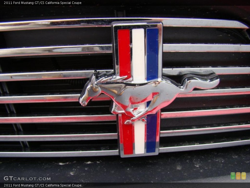 2011 Ford Mustang Custom Badge and Logo Photo #48627811