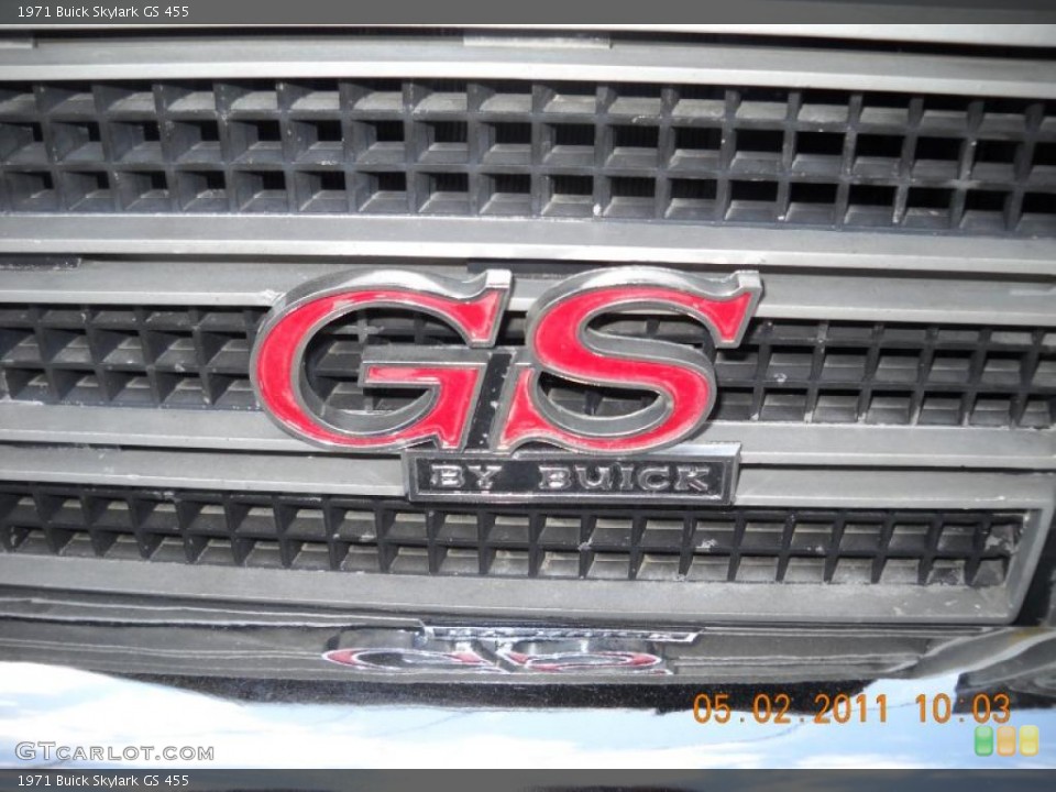 1971 Buick Skylark Custom Badge and Logo Photo #48792007