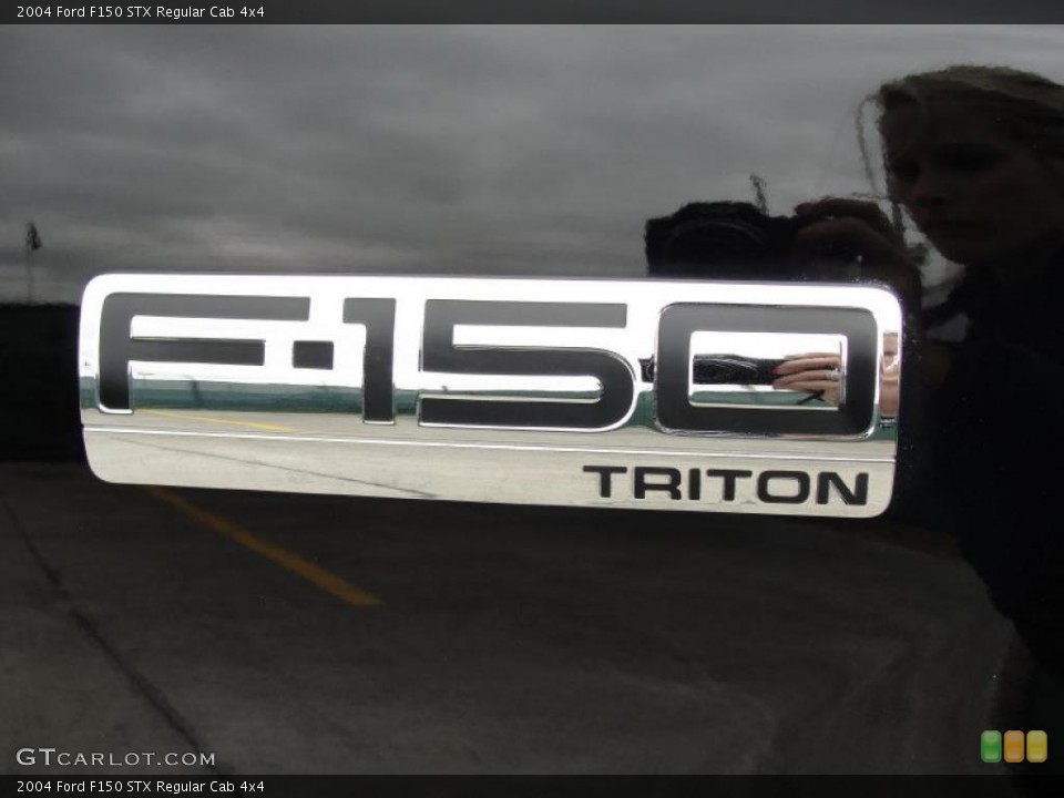 2004 Ford F150 Custom Badge and Logo Photo #48830151