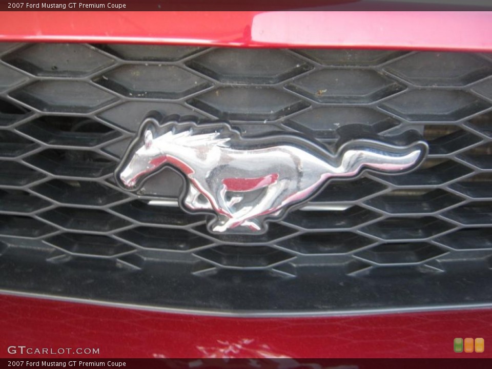 2007 Ford Mustang Custom Badge and Logo Photo #48871050