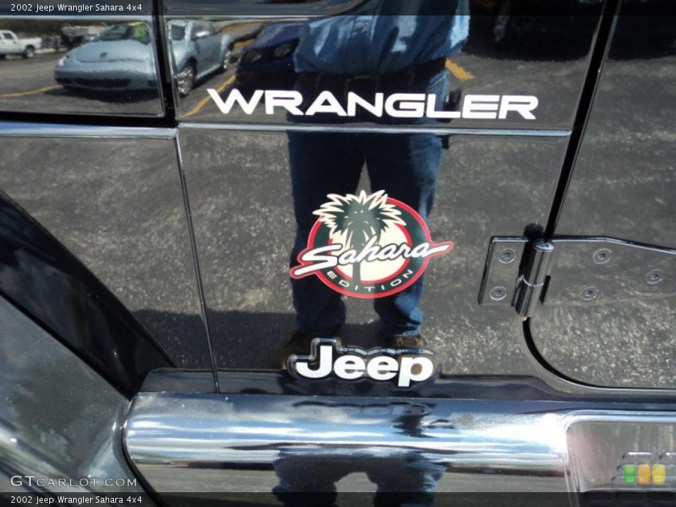 2002 Jeep Wrangler Custom Badge and Logo Photo #49047561