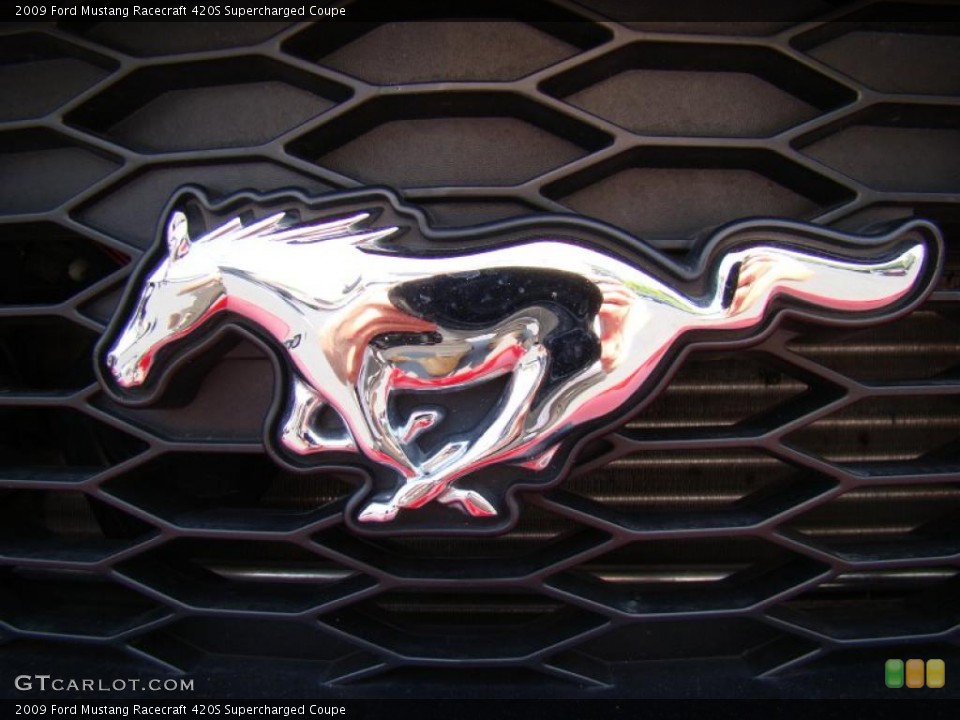 2009 Ford Mustang Custom Badge and Logo Photo #49096217